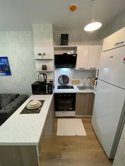Classic Suite Bh13 Istanbul Apartment